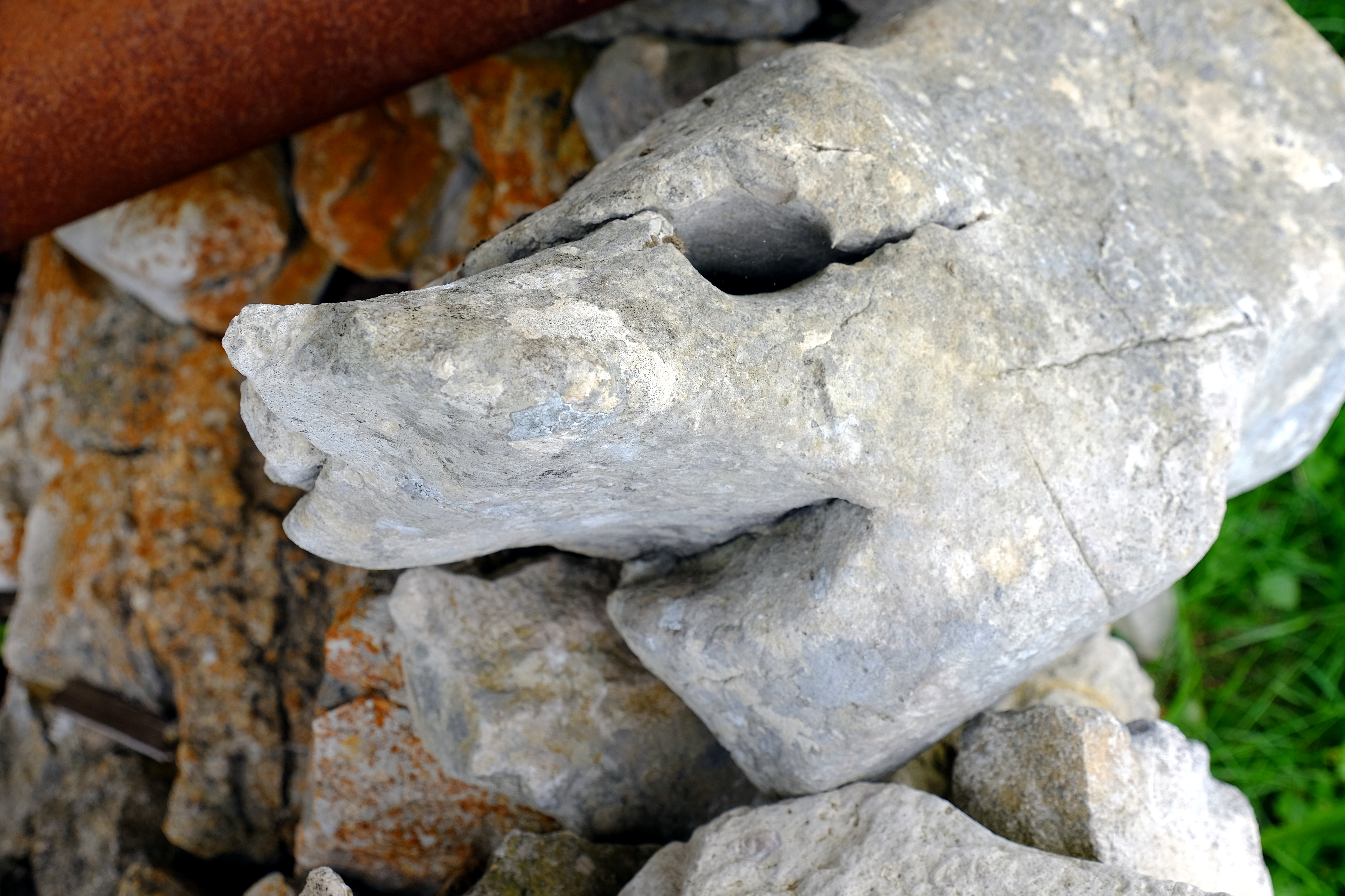 stone like a face with a long nose